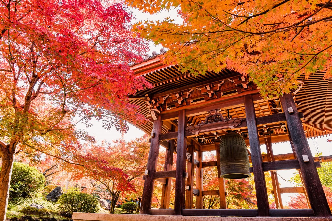 🏯 총본산 지적원(치샤쿠인) 이미지 8